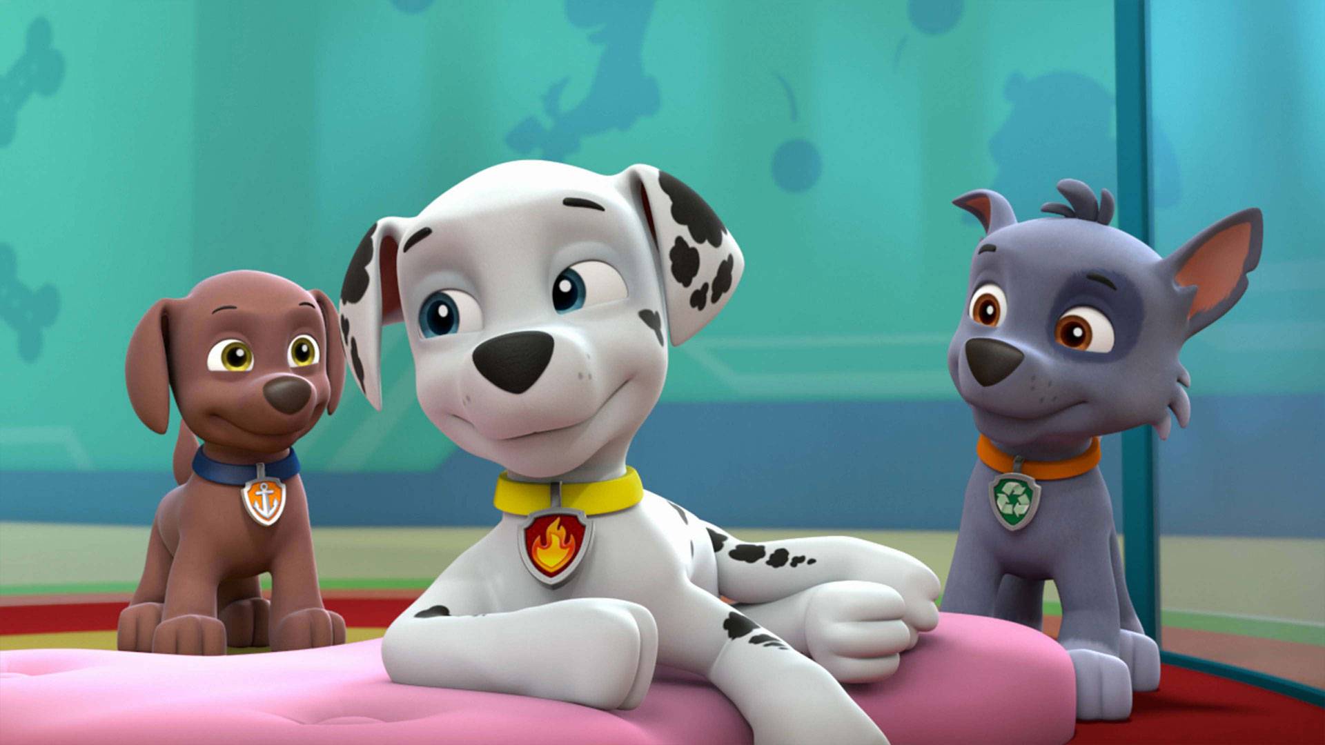 Paw Patrol S05 B25