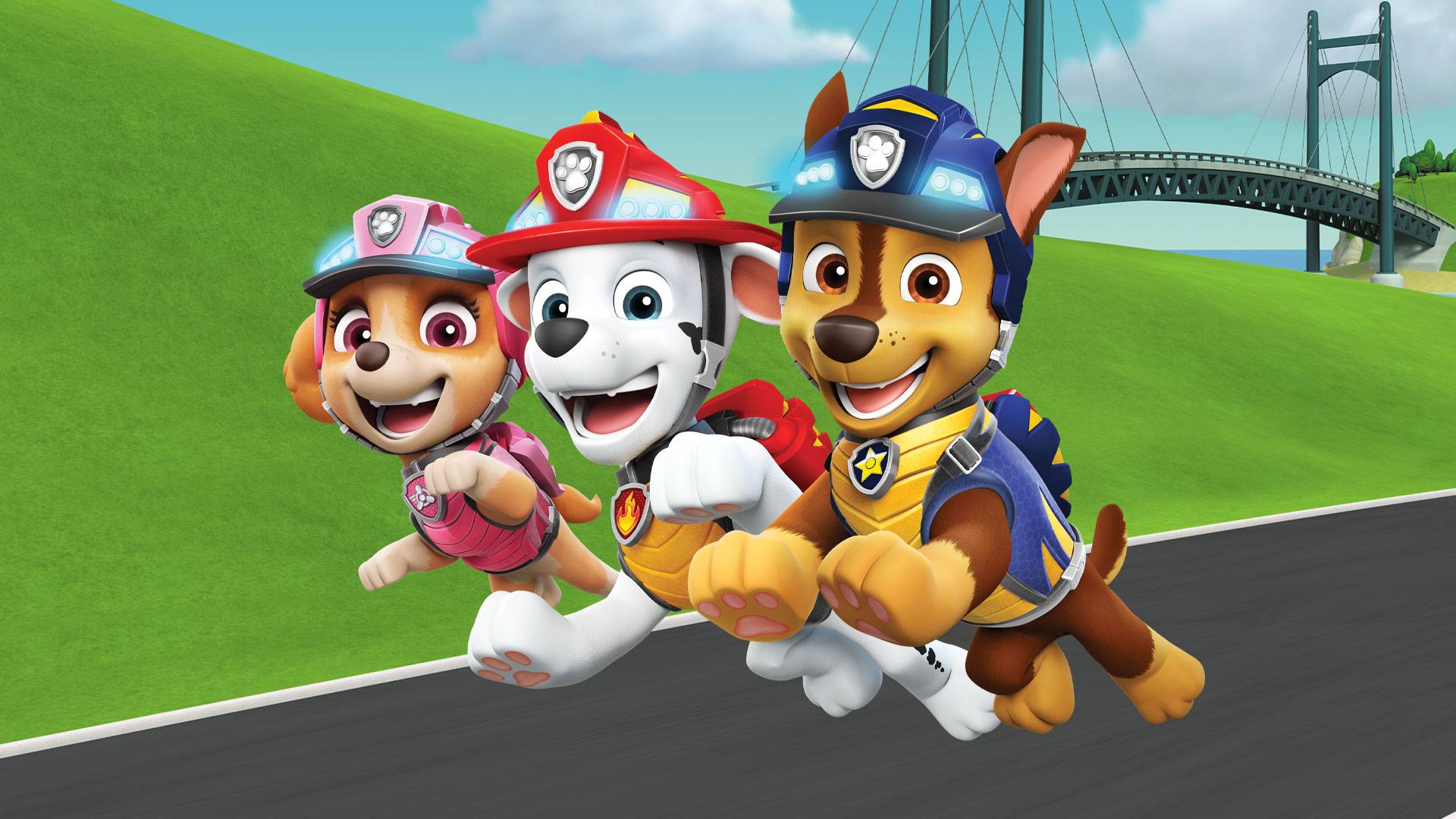 Paw Patrol S08 B17