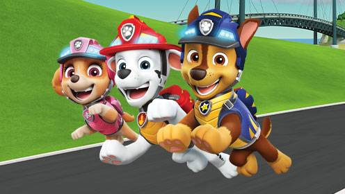 Paw Patrol S07 B09