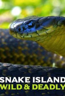 Yılan Adası: Vahşi ve Ölümcül